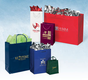 Custom Printed Gloss Laminated European Rope Handle Shopping Bags