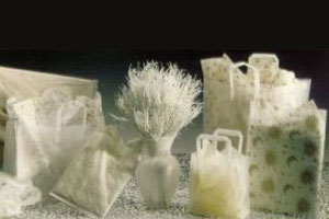 Hi-Density Clear Frosted Die-Cut Plastic Shopping Bags