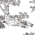 Black Toile