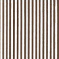 Brown Pinstripes
