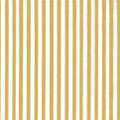 Gold Pinstripes
