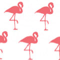 Pink Flamingo