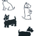 Scottie Dog